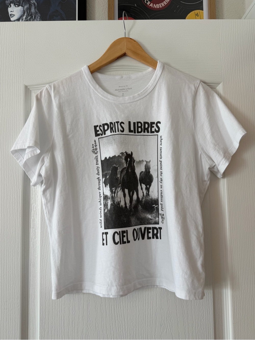 Abercrombie & Fitch White Graphic Tee esprits libres horses oversized medium M